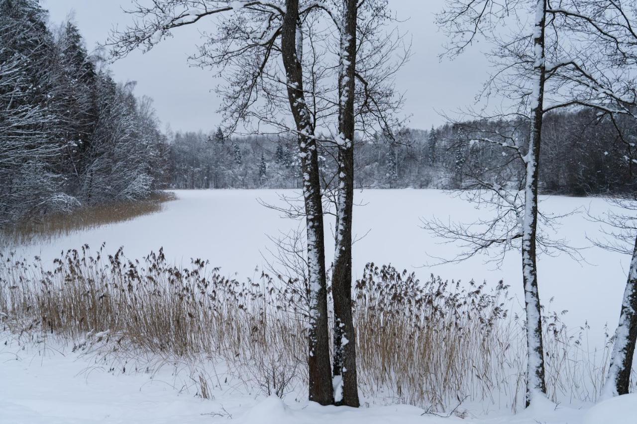 "Ciekuri" Villa Aglona Eksteriør bilde